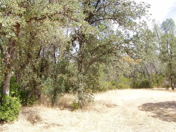 $20,000 | 15838 El Dorado Drive, Corning, CA 96021