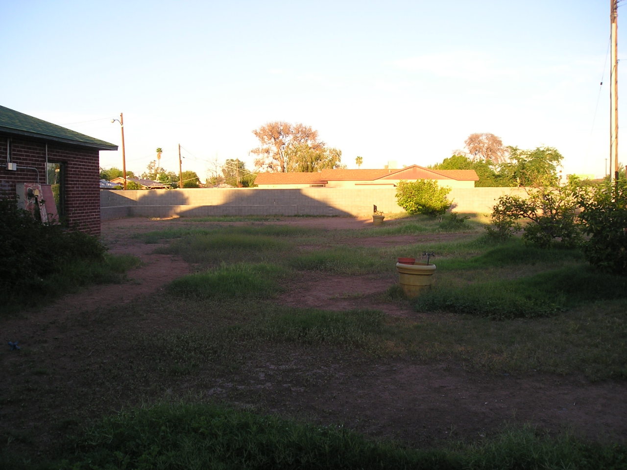 2405 East Coronado Road Phoenix, AZ 85008 - Photo 6 of 8 Back Yard