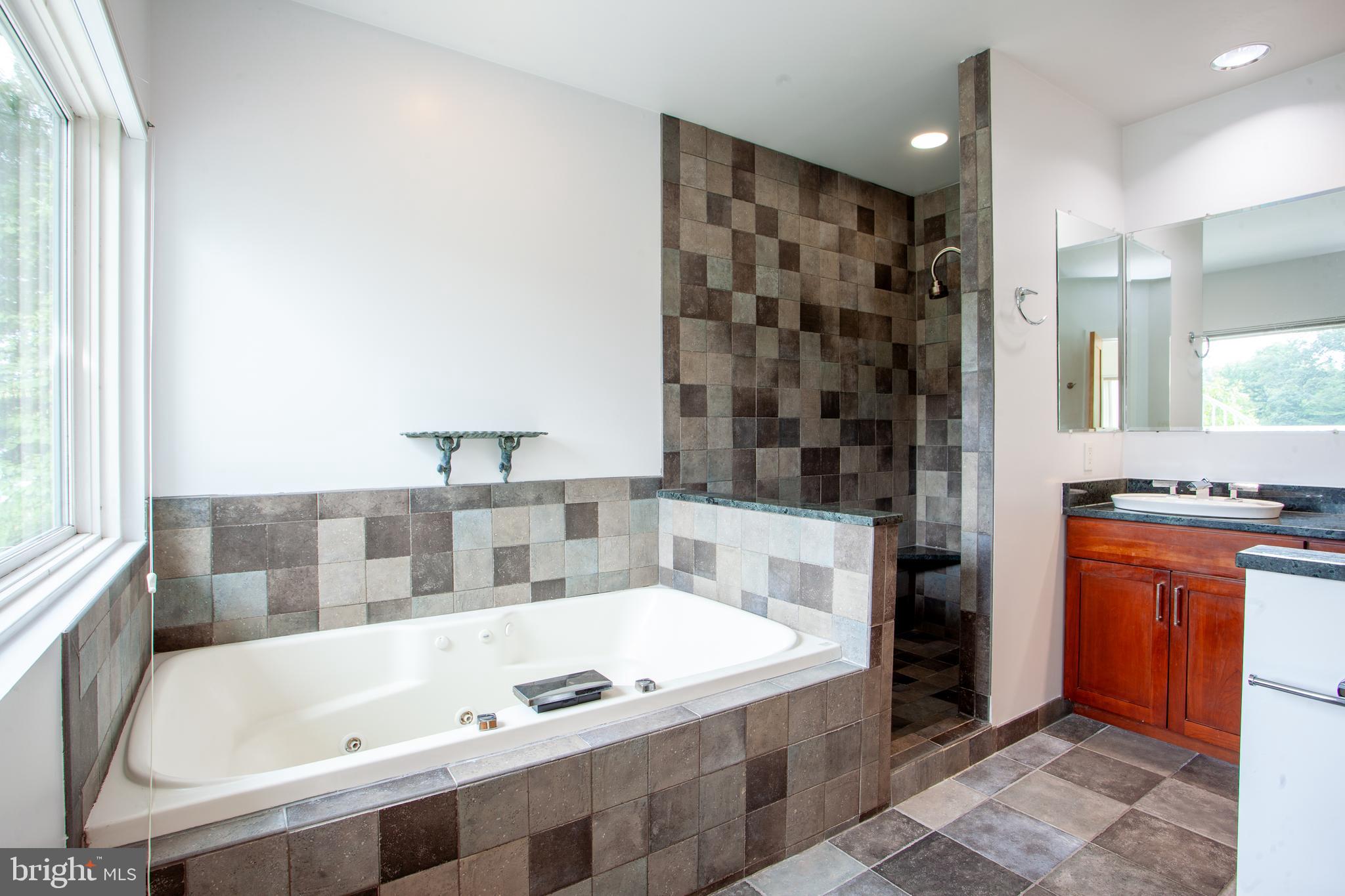 163 Edge Way Arnold, MD 21012 - Photo 40 of 77 Master Bathroom