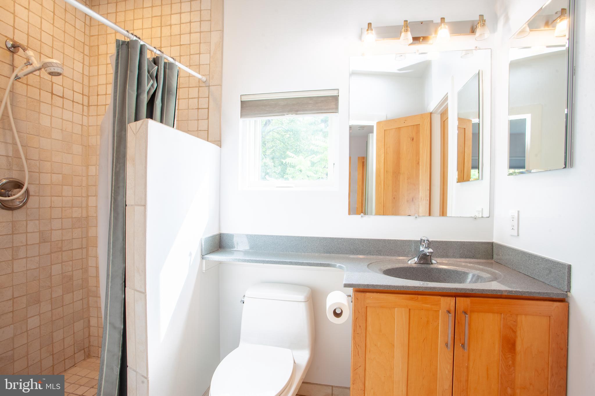 163 Edge Way Arnold, MD 21012 - Photo 41 of 77 Bathroom 2