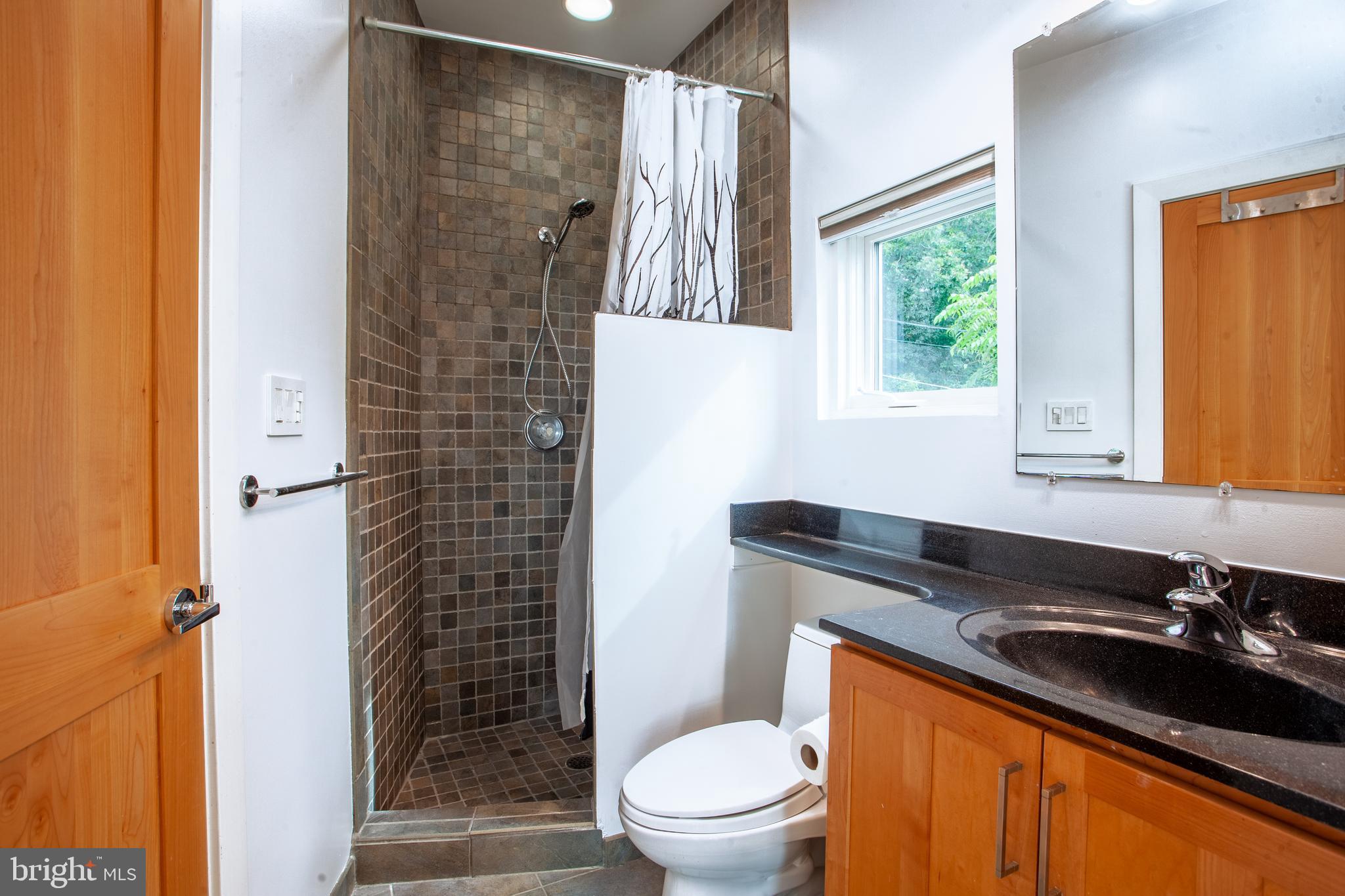 163 Edge Way Arnold, MD 21012 - Photo 59 of 77 Bathroom 3