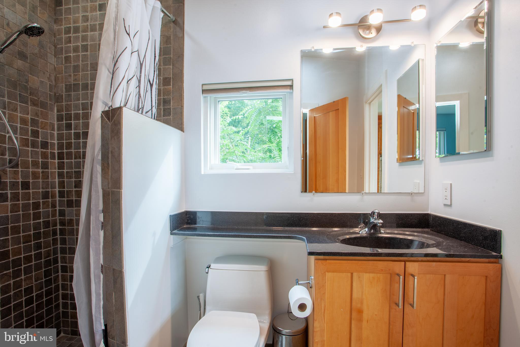 163 Edge Way Arnold, MD 21012 - Photo 60 of 77 Bathroom 3