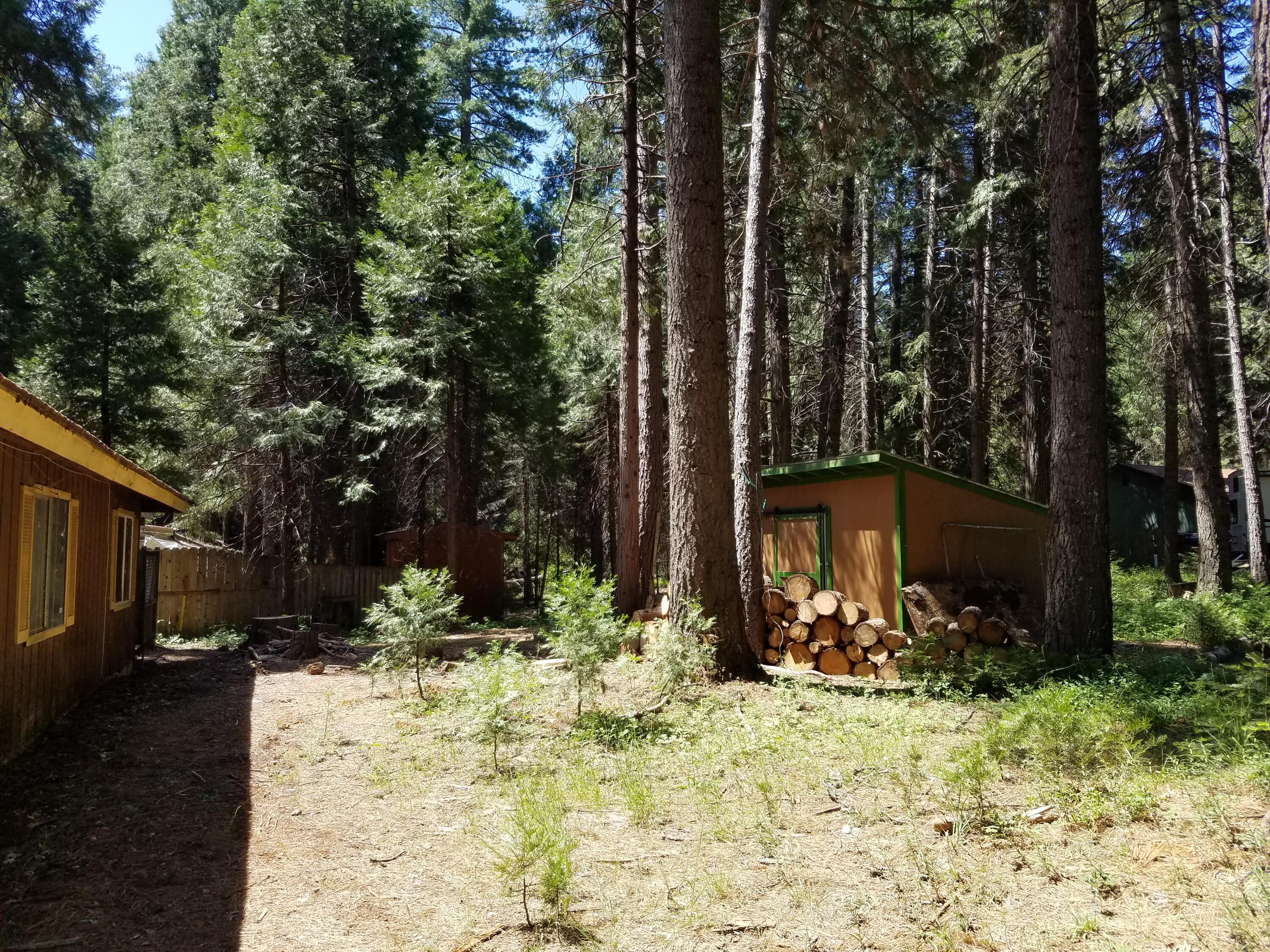 8118 Starlite Pines Road Shingletown, CA 96088 - Photo 9 of 32 BACK YARD