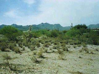 3770 West Morgan Road Tucson, AZ 85745 - Photo 1 of 1 Gallery Image 1