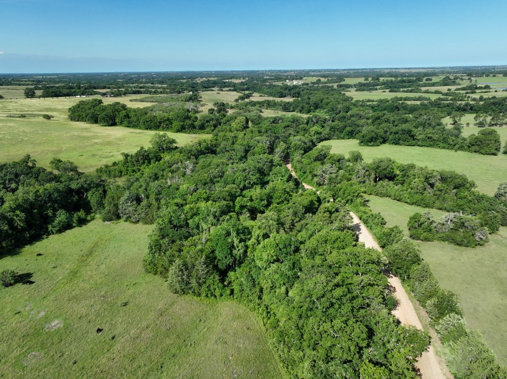 9491 Rocky Road Bellville, TX 77418 - Photo 3 of 19 Aerial view
