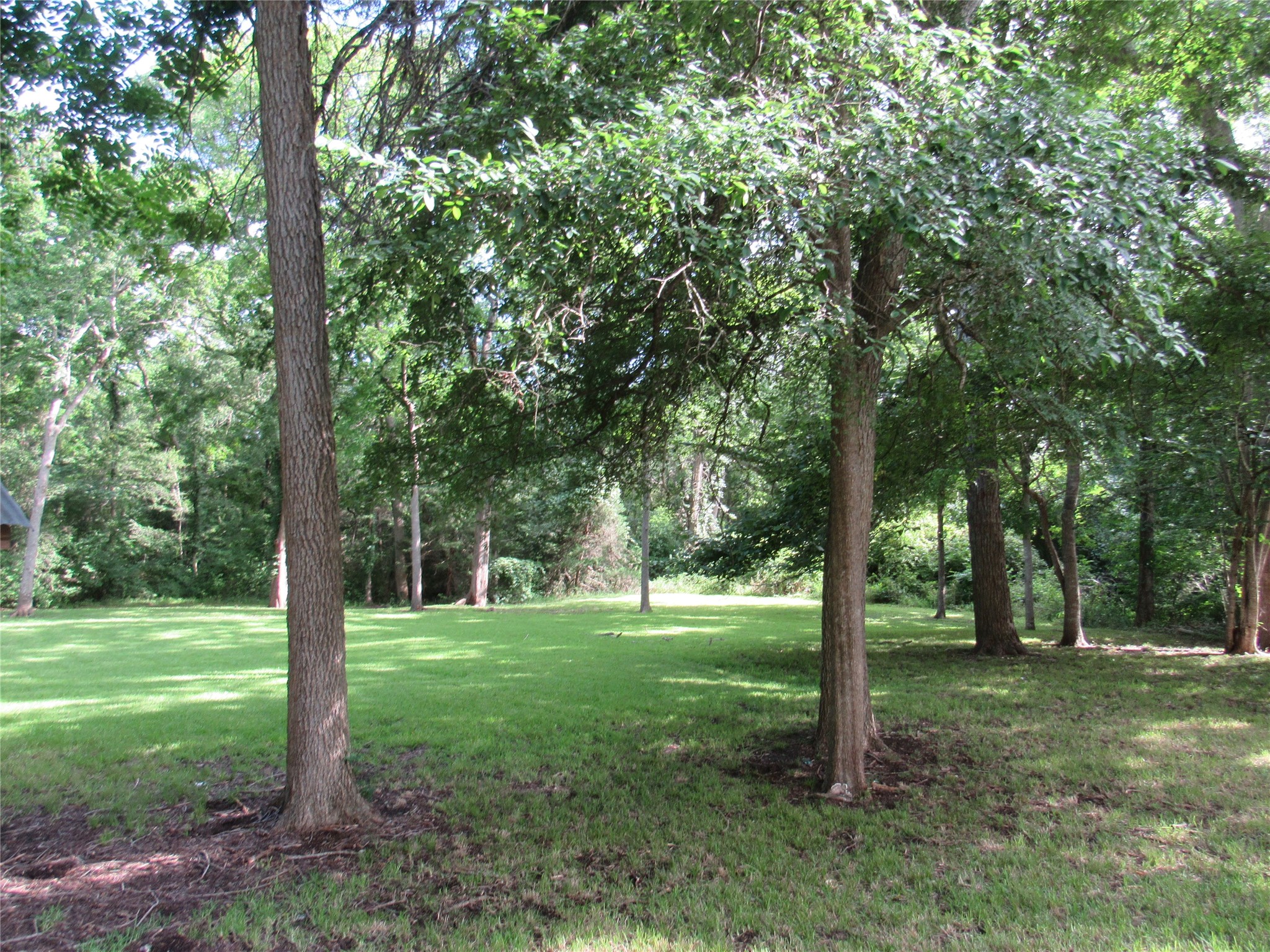 9491 Rocky Road Bellville, TX 77418 - Photo 8 of 19 Yard area near home