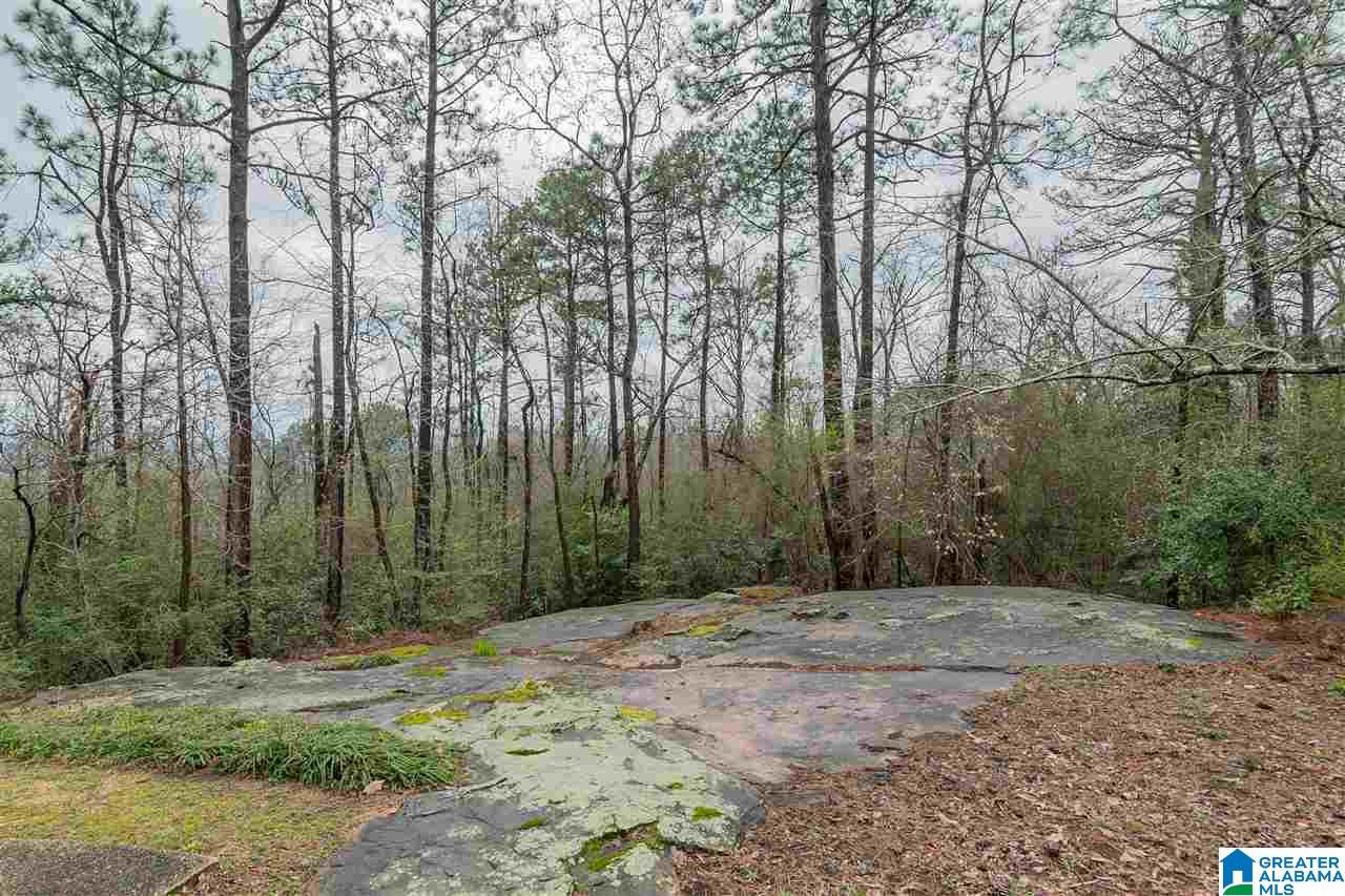 2439 Rockcreek Road Birmingham, AL 35226 - Photo 35 of 36