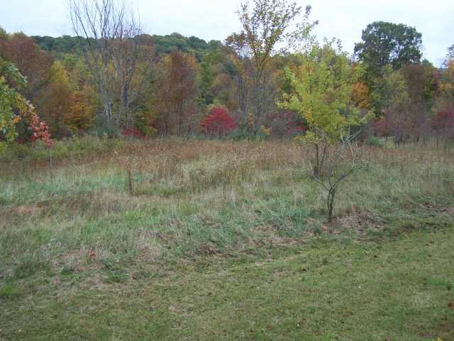 12916 Middlefork Road Amanda, OH 43102 - Photo 11 of 11