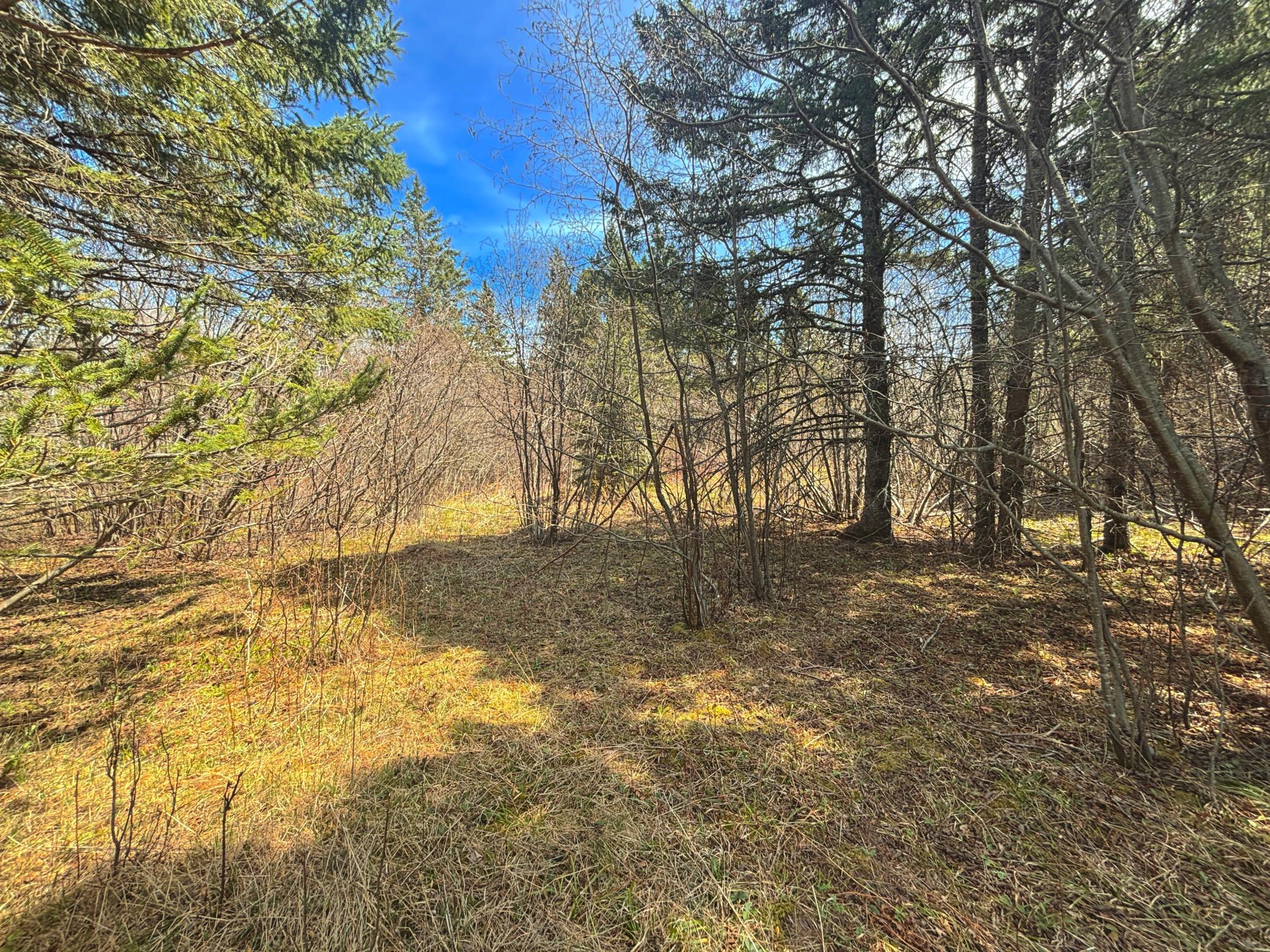 846-xx Lenawee Road Herbster, WI 54844 - Photo 7 of 25