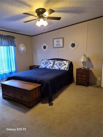 175 Cart Bayou Lane Many, LA 71449 - Photo 5 of 9