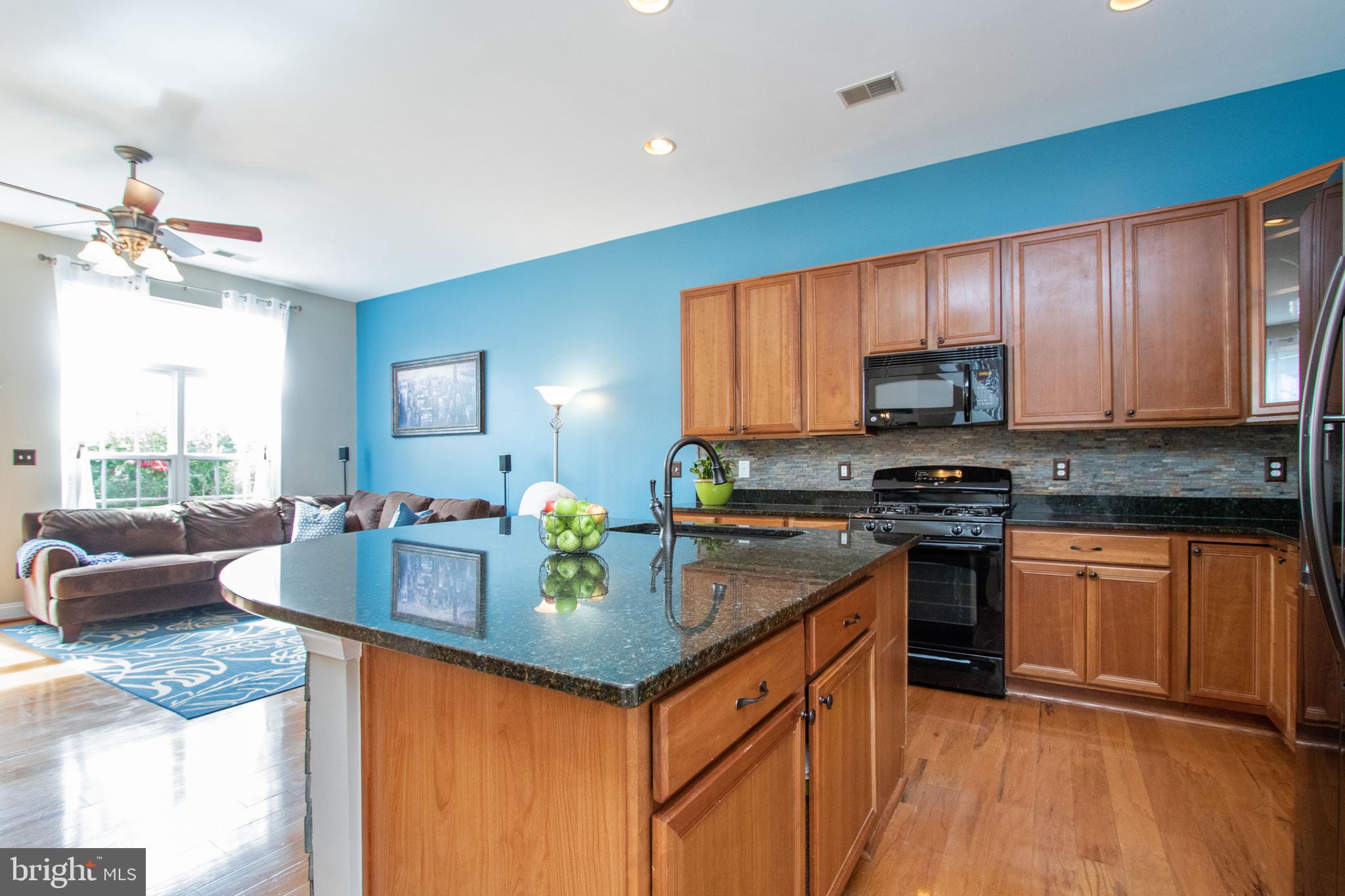 9036 Ribbon Falls Loop Bristow, VA 20136 - Photo 12 of 43 Gourmet Kitchen with Ample Cabinets & Granite