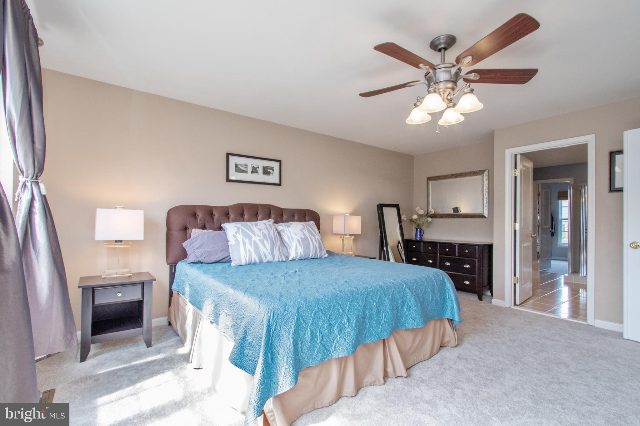 9036 Ribbon Falls Loop Bristow, VA 20136 - Photo 20 of 43 Master Bedroom Opens to Luxury Master Bath