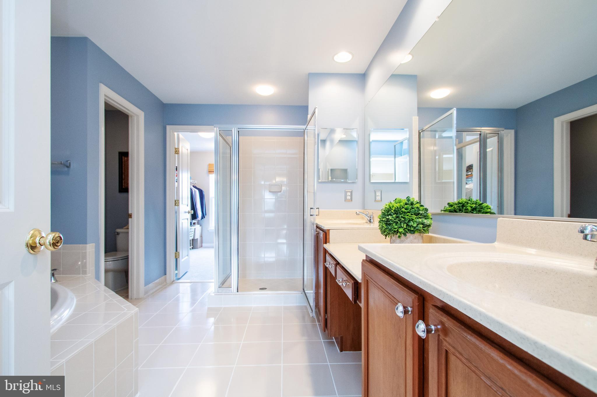 9036 Ribbon Falls Loop Bristow, VA 20136 - Photo 21 of 43 Luxury Master Bath Opens to Huge Walk-In Closet