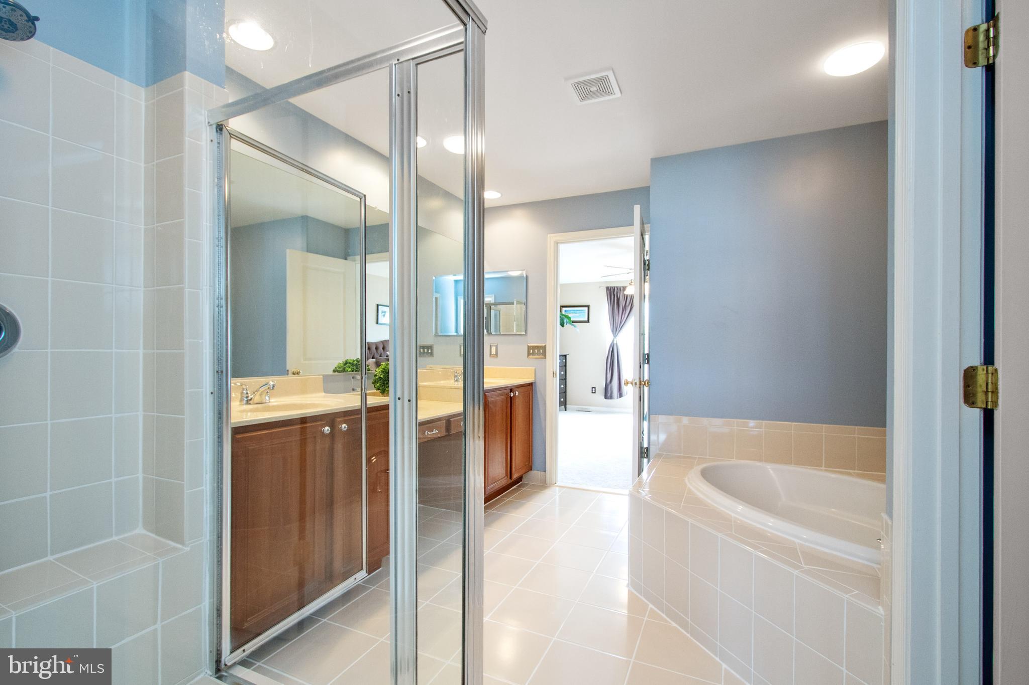 9036 Ribbon Falls Loop Bristow, VA 20136 - Photo 22 of 43 Luxury Master Bath with Newly Regrouted Tile