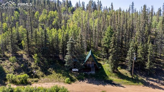 274 Midland Road Florissant, CO 80816 - Photo 16 of 18 Gallery Image 16
