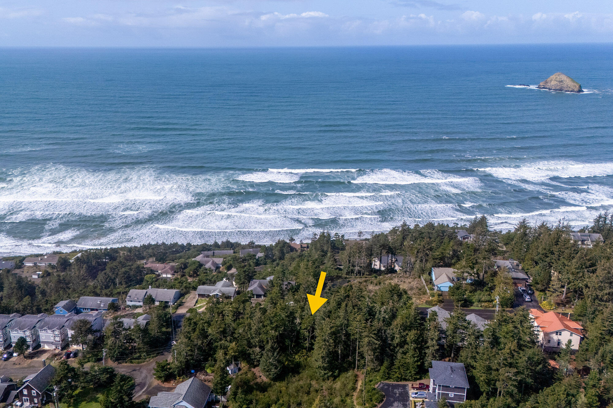 301 Ridgewood Road Tillamook, OR 97141 - Photo 8 of 11 DJI_20250329115908_0028_D-2-Edit-2
