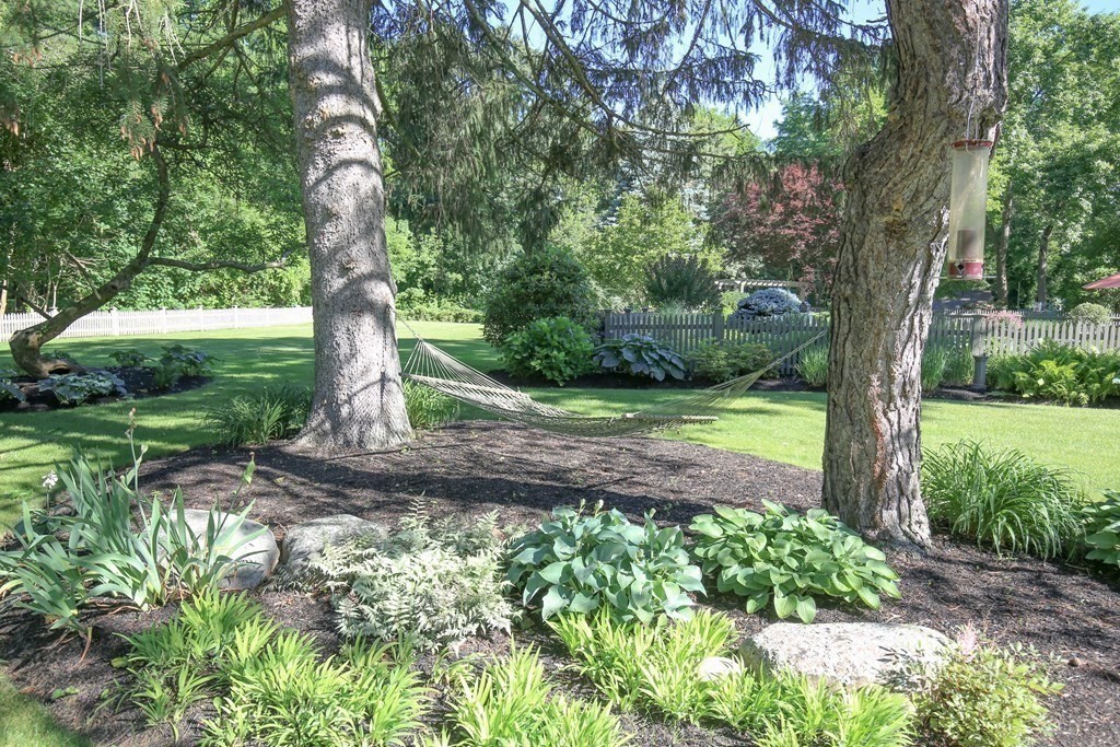 21 Rolfe's Lane Newbury, MA 01951 - Photo 32 of 42 a view of a garden with a tree
