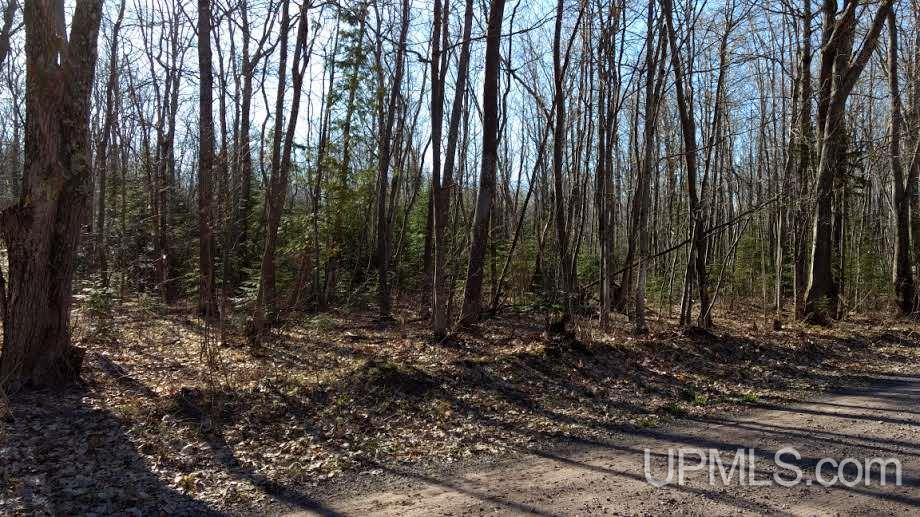 Tbd North Superior Road Atlantic Mine, MI 49905 - Photo 13 of 14 Gallery Image 13