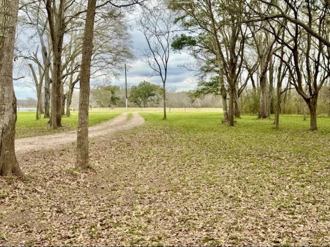 327 County Road 735 Angleton, TX 77515 - Photo 2 of 39 a view of a yard with a tree
