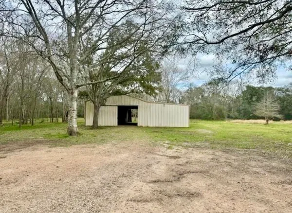 a big yard with large trees