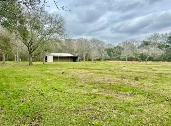 a view of a house with a big yard and a large tree