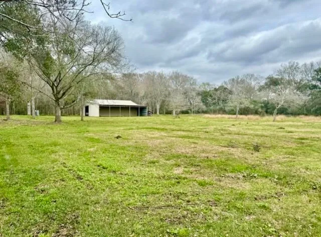 a view of a house with a big yard and a large tree