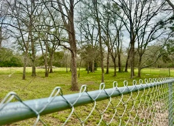 a view of a garden with a tree
