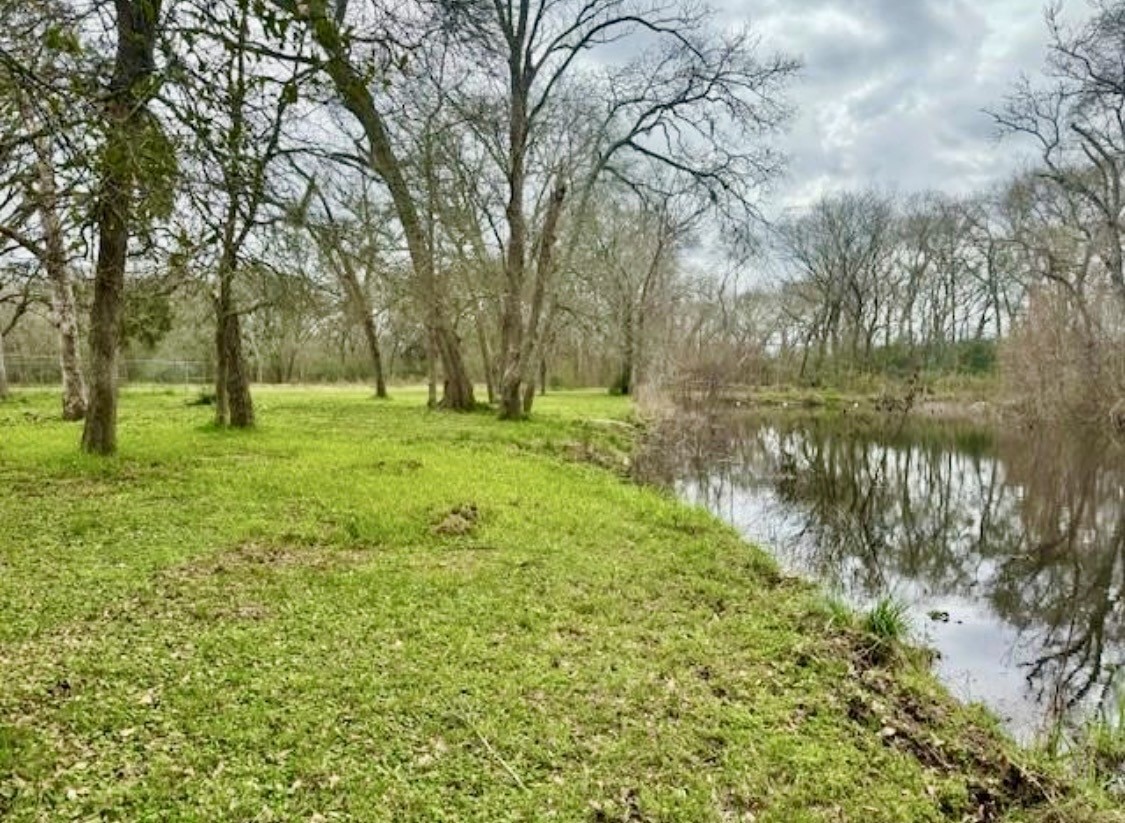 327 County Road 735 Angleton, TX 77515 - Photo 29 of 39 a view of a garden with a tree