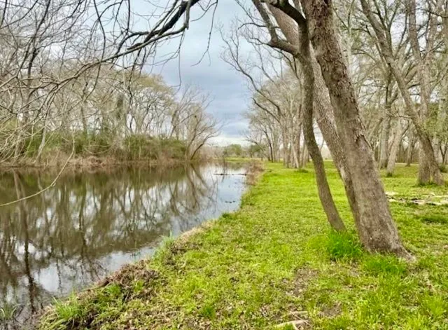 a view of outdoor space with a garden and trees
