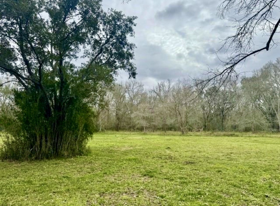 327 County Road 735 Angleton, TX 77515 - Photo 31 of 39 a view of outdoor space with a garden and trees