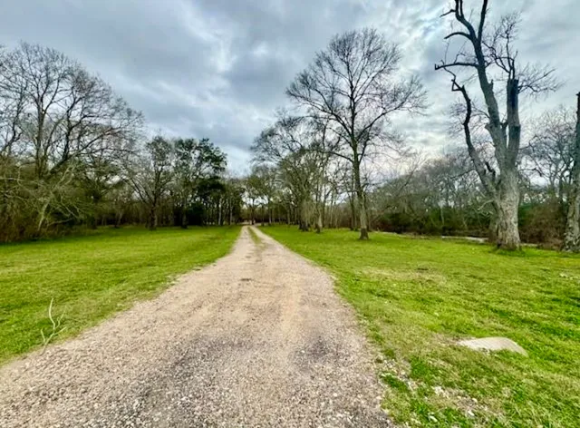 a view of a big yard with a trees