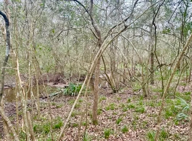 $950,000 | 327 County Road 735, Angleton, TX 77515