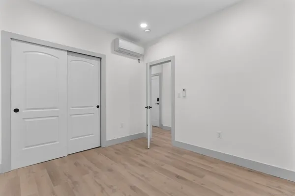 a room with potted plants and a large tree