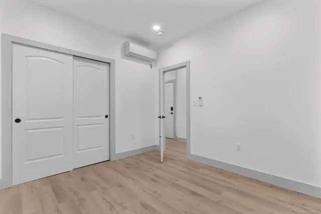 a room with potted plants and a large tree