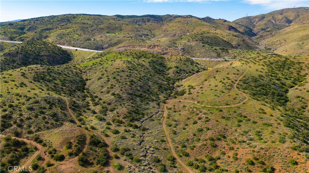 0 Courson Ranch Road Palmdale, CA 93550 - Photo 2 of 12 a view of a field with a mountain in the background