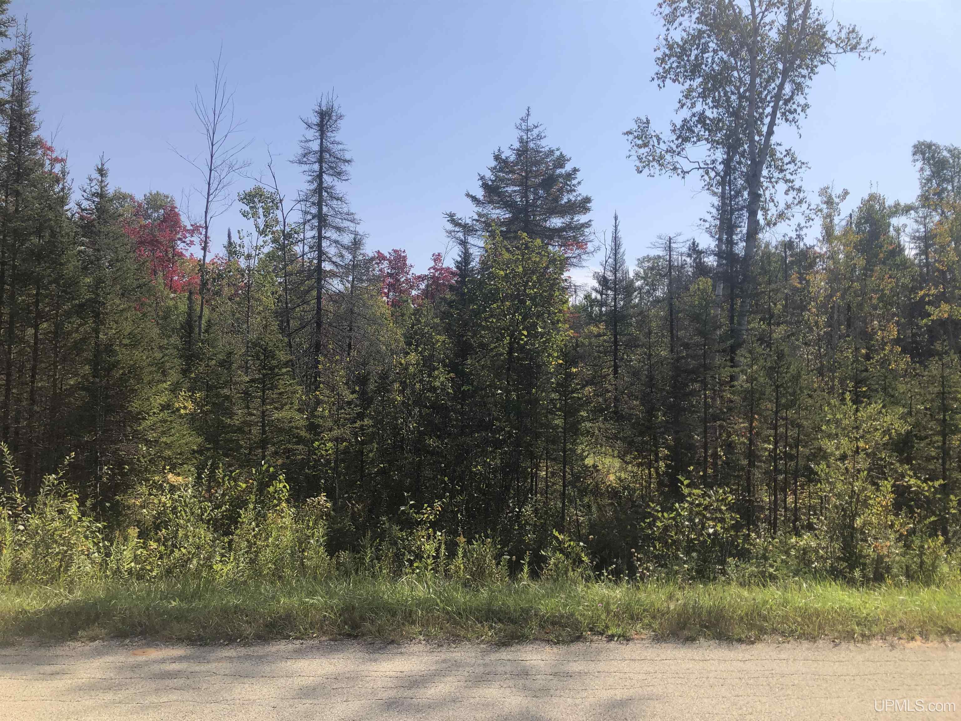 Tbd Tbd Friday Road Rapid River, MI 49878 - Photo 3 of 4