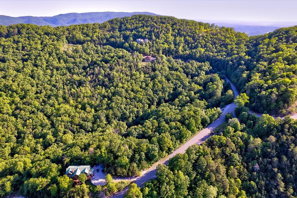 60 Redtail Road Sevierville, TN 37862 - Photo 14 of 26 Gallery Image 14