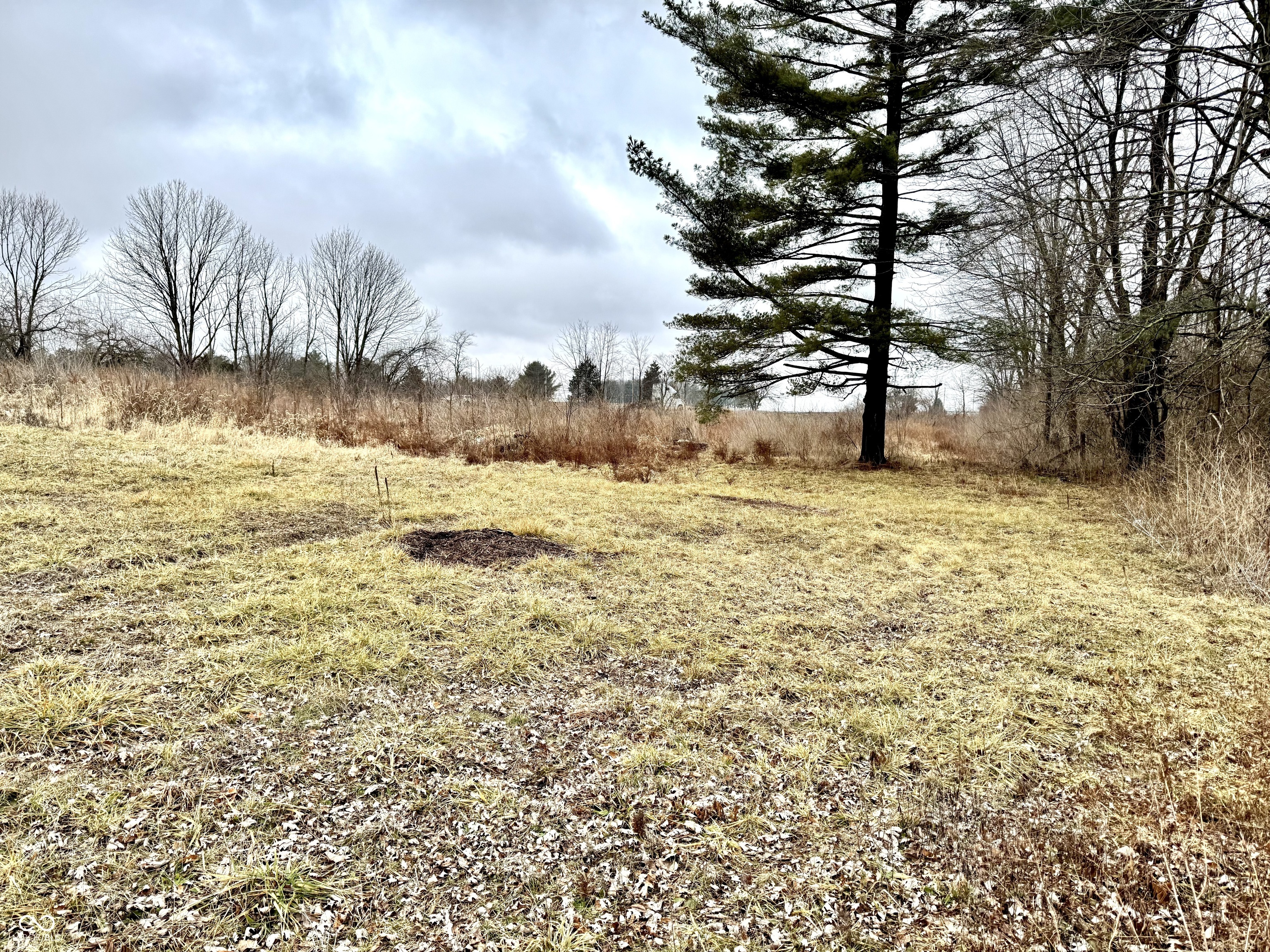 5495 East Greensburg Road Franklin, IN 46131 - Photo 17 of 21