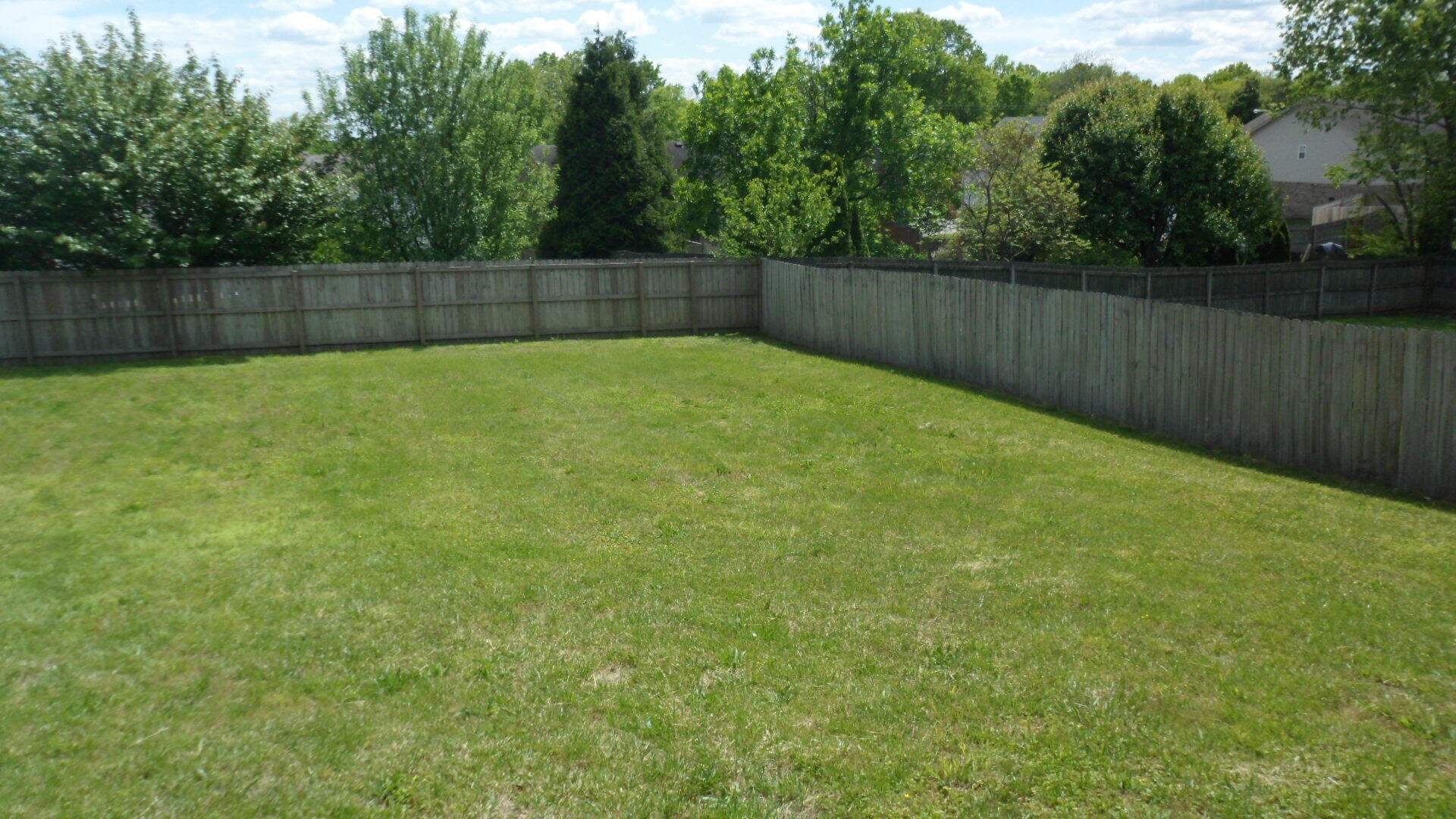 106 Cedar Ridge Road Frankfort, KY 40601 - Photo 15 of 15 back yard 2