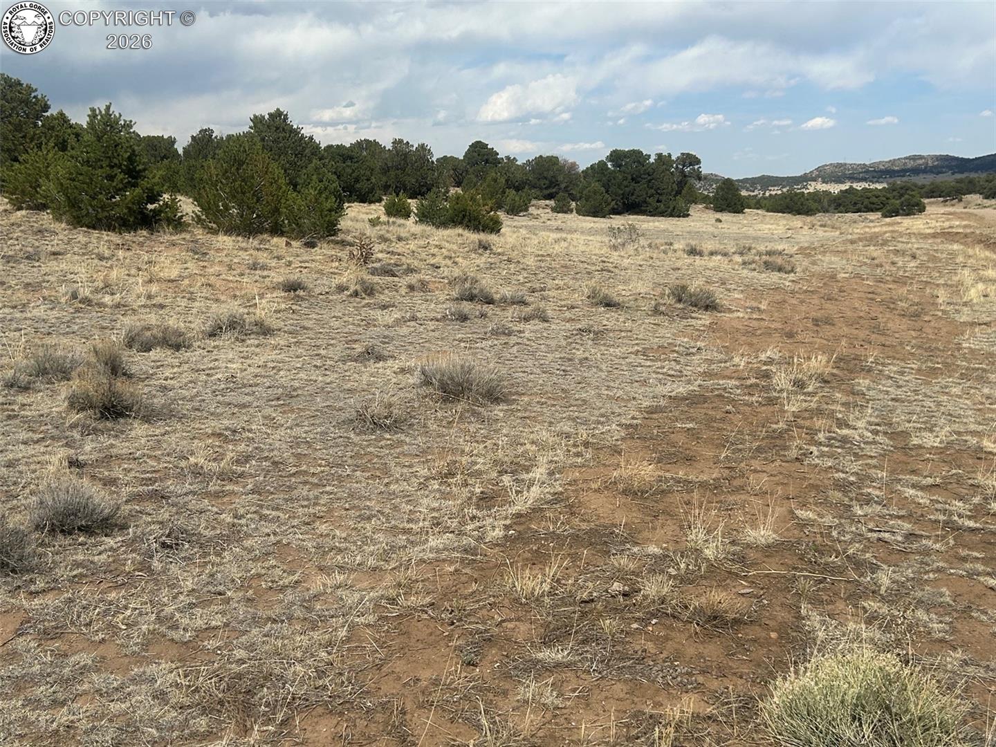 530 County Road Walsenburg, CO 81089 - Photo 7 of 12 Gallery Image 7