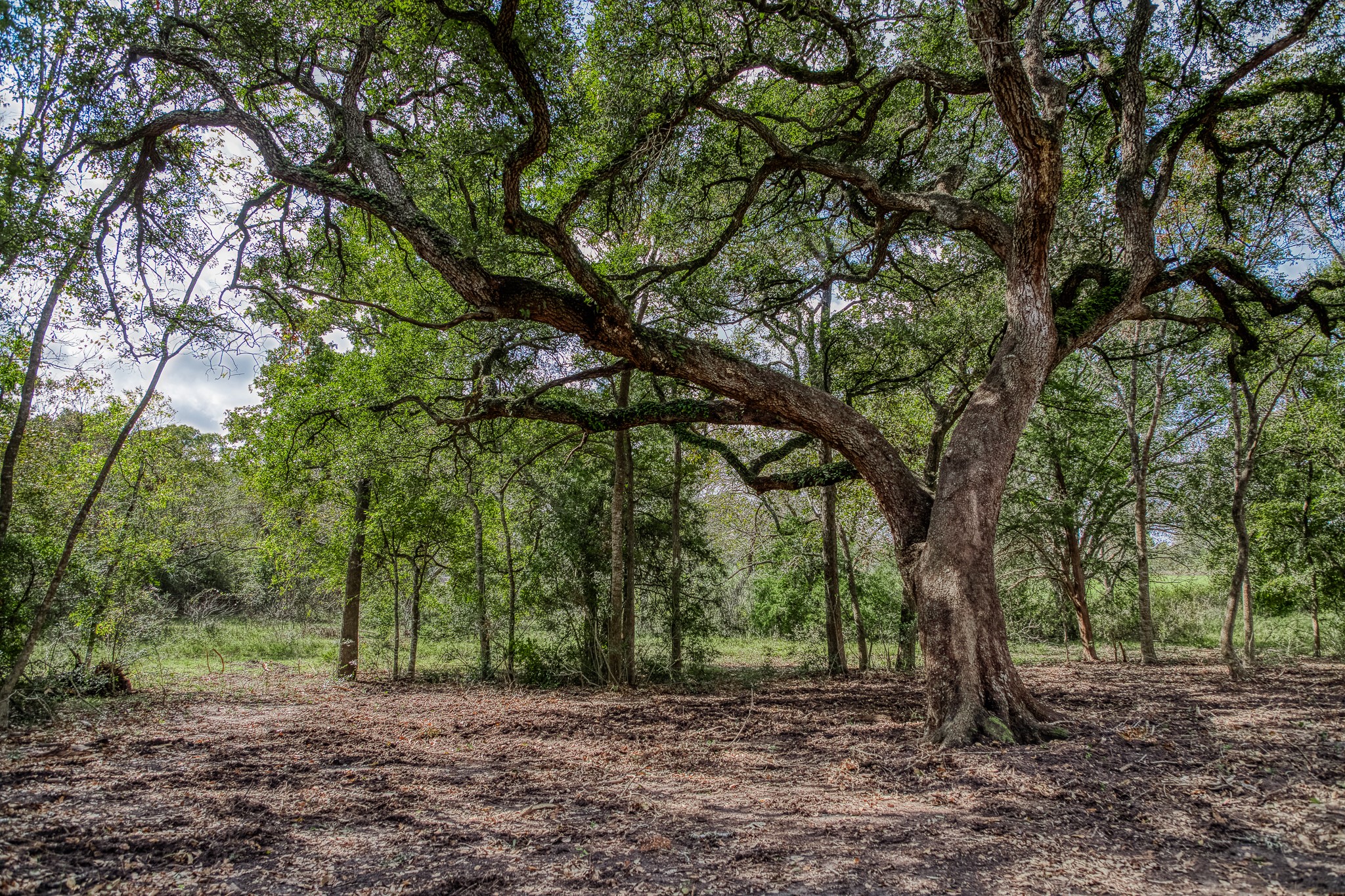2 Sun Oil Road Brenham, TX 77833 - Photo 10 of 35