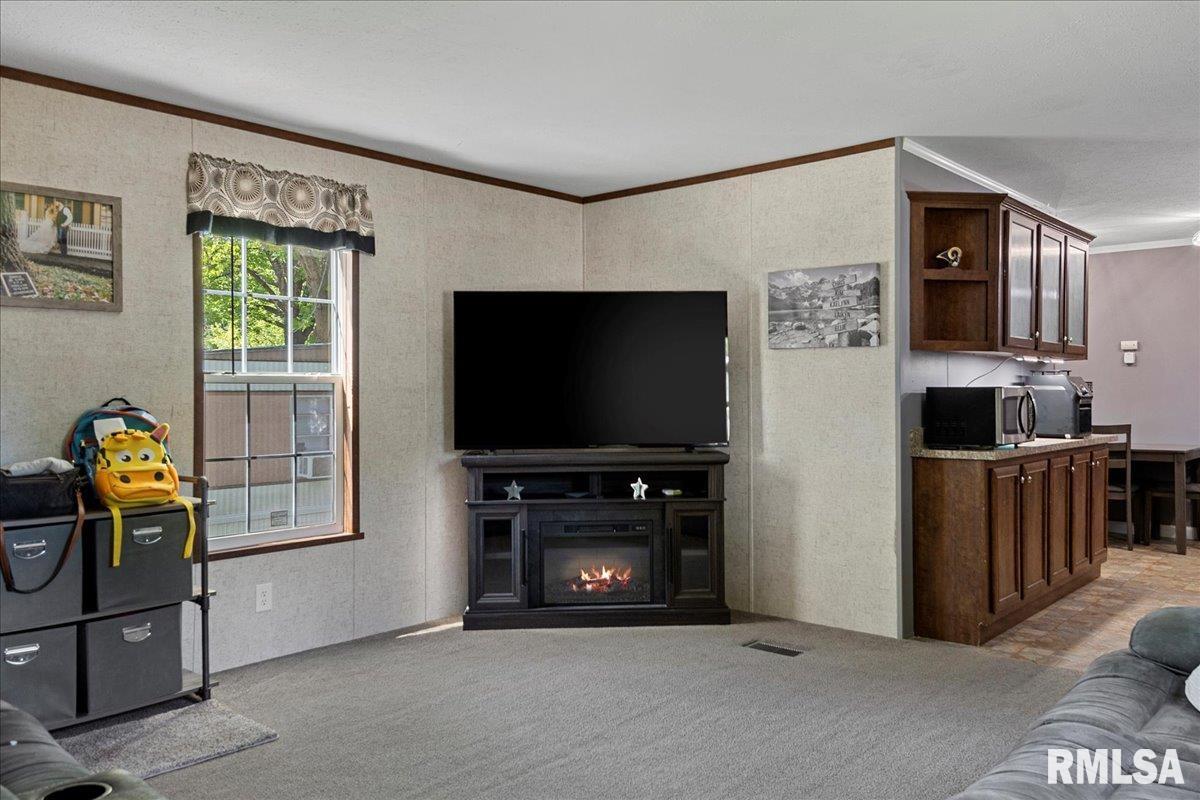 3725 North Peoria Road, Unit 111 Springfield, IL 62702 - Photo 5 of 25