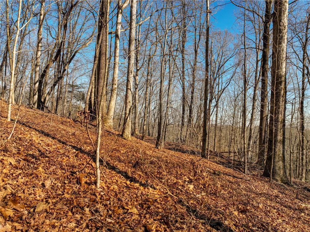 Lot 10 Mount Mincie Road Murrayville, GA 30564 - Photo 11 of 14 a view of a backyard of the house