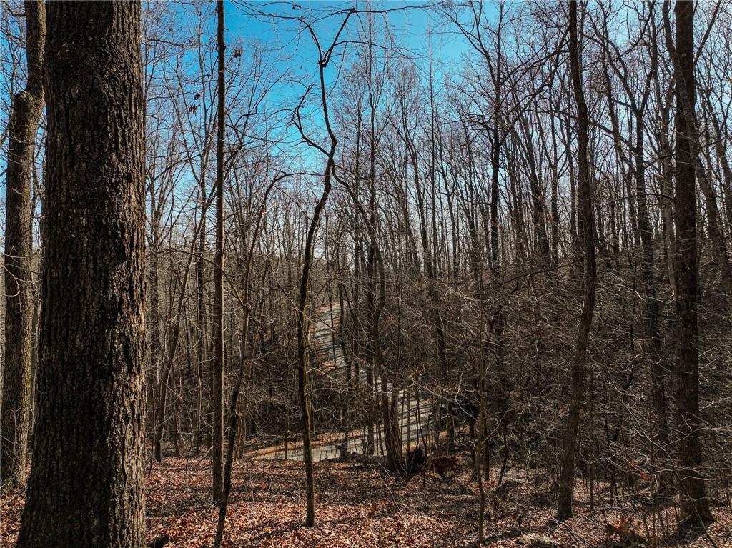 Lot 10 Mount Mincie Road Murrayville, GA 30564 - Photo 12 of 14 a view of a yard