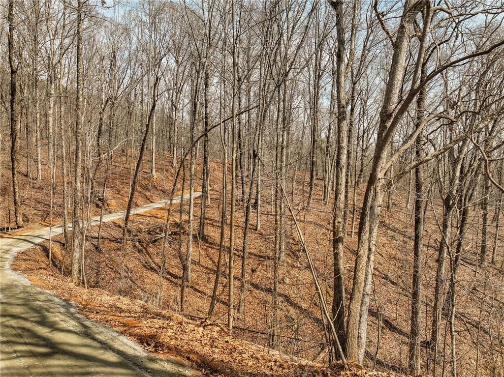 Lot 10 Mount Mincie Road Murrayville, GA 30564 - Photo 14 of 14 a backyard of a house with lots of trees