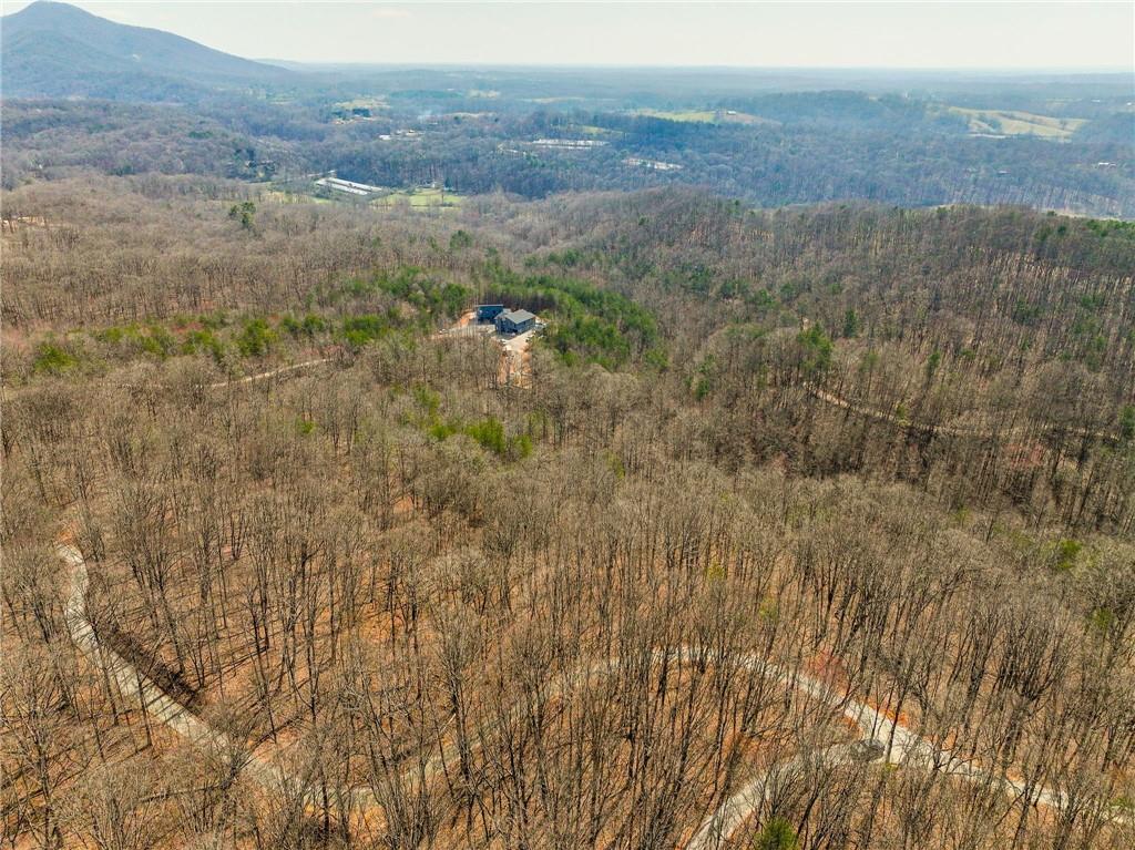 Lot 10 Mount Mincie Road Murrayville, GA 30564 - Photo 2 of 14 a view of a dry yard