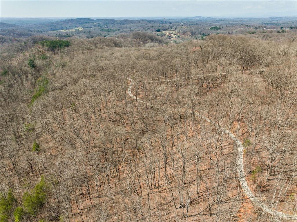 Lot 10 Mount Mincie Road Murrayville, GA 30564 - Photo 3 of 14 a view of an outdoor space and a yard