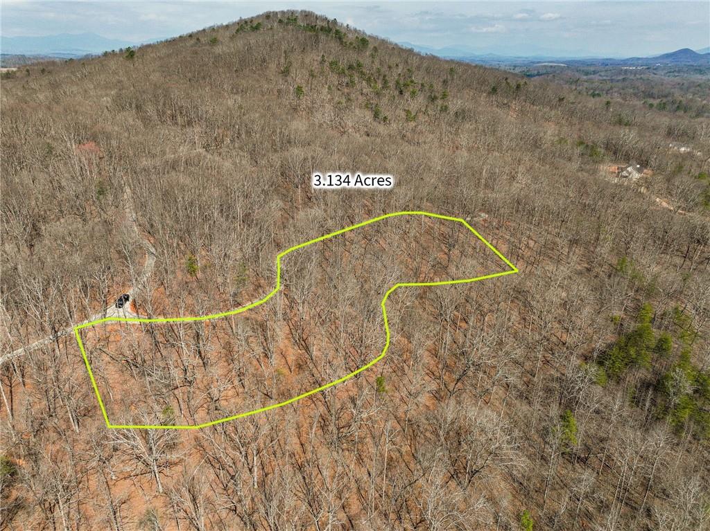 Lot 10 Mount Mincie Road Murrayville, GA 30564 - Photo 4 of 14