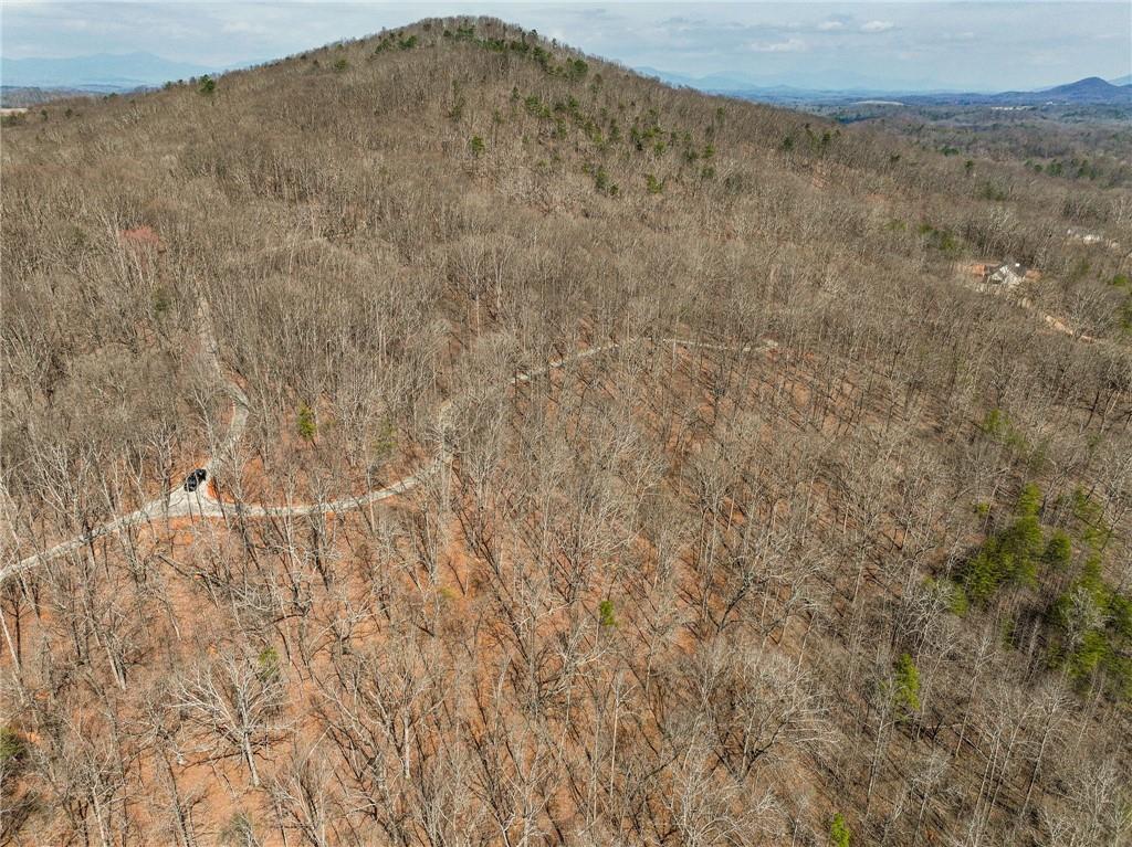 Lot 10 Mount Mincie Road Murrayville, GA 30564 - Photo 5 of 14 a view of a dry field