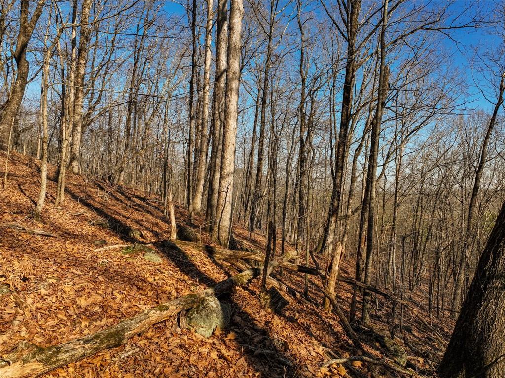 Lot 10 Mount Mincie Road Murrayville, GA 30564 - Photo 7 of 14 a view of a yard with large trees